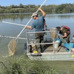 Pesca alla fauna alloctona con natante nel Lago di Arignano - Foto EGAP Parchi reali